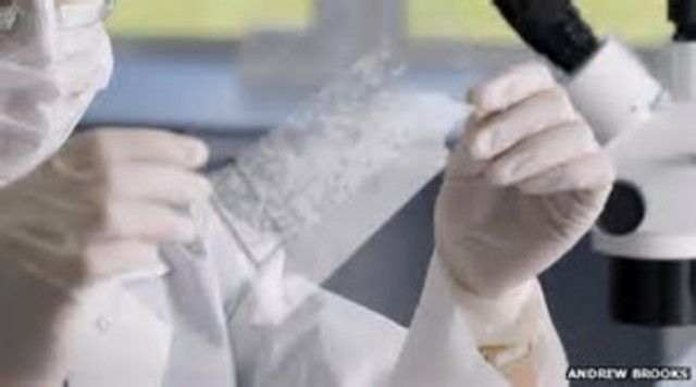 Hair now used in forensics