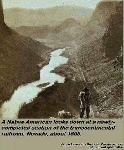 Negative Impacts of the TR