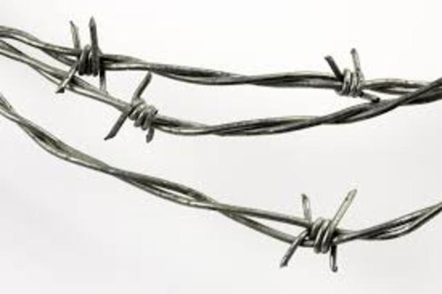 Barbed Wire