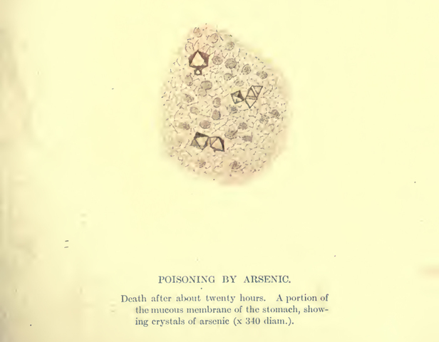 "Waiter! There's Arsenic in my Soup!"