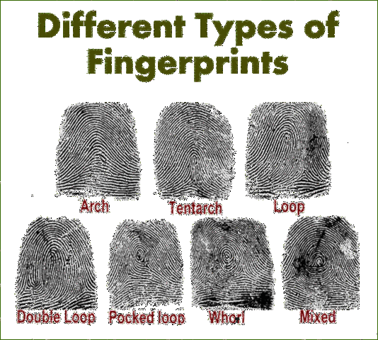 Just Like a Snowflake