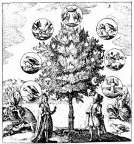 Conjunto De Principios