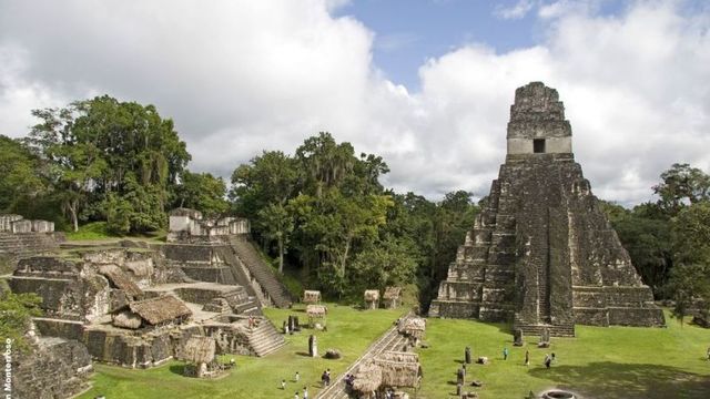 The fast growing city of Tikal