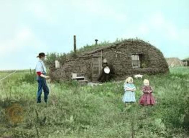 the homestead act