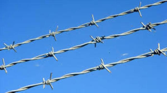 Barbed Wire