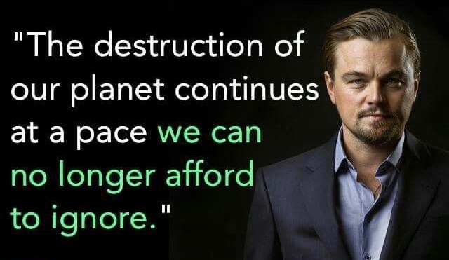 LDF Present Day Grants