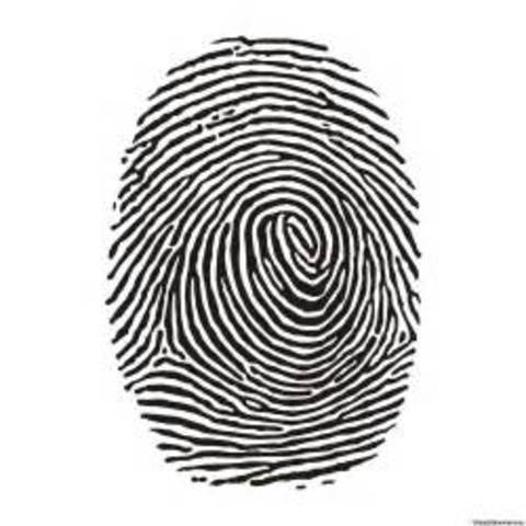 finger print ID use in crime