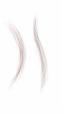 Hair is used in forensics