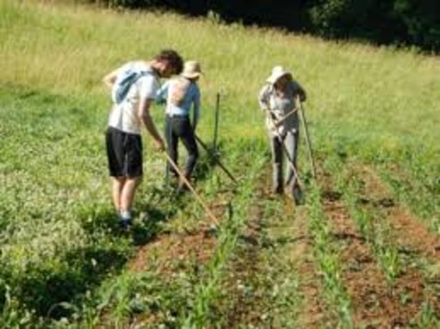 Jara's Mother's Death