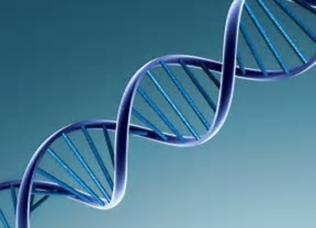 First Forensic Science Book