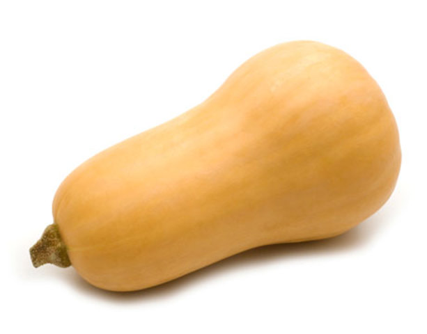 Squash