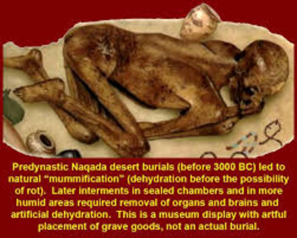 First Removal of Organs from Humans