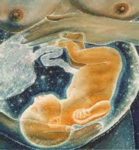 ALUMBRAMIENTO DEL ARTE SAGRADO