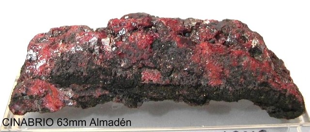 El país del Indo. Capitulo 4