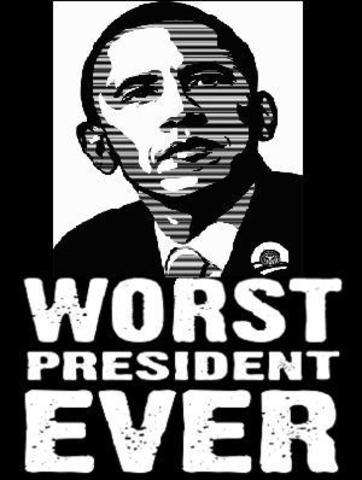 Obama elected (this is where poop REALLY starts to hit the fan); Bush bids farewell