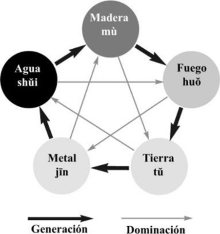 Los cincos elementos