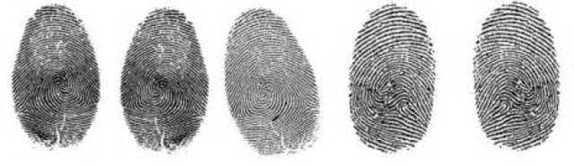 Fingerprints were discovered to be different for every person.