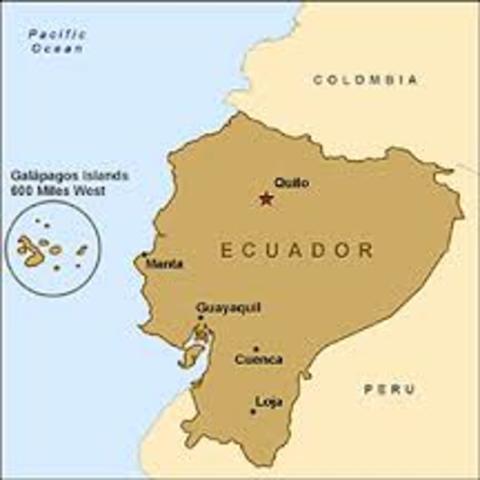 Simon claimed Ecuador