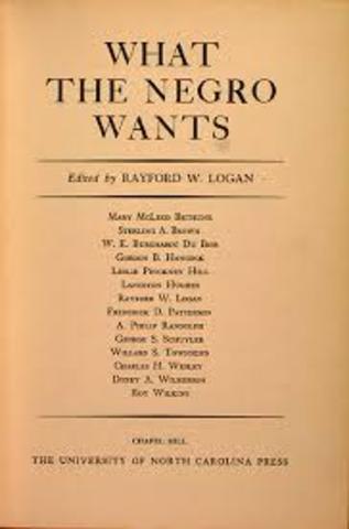 What The Negro Wants
