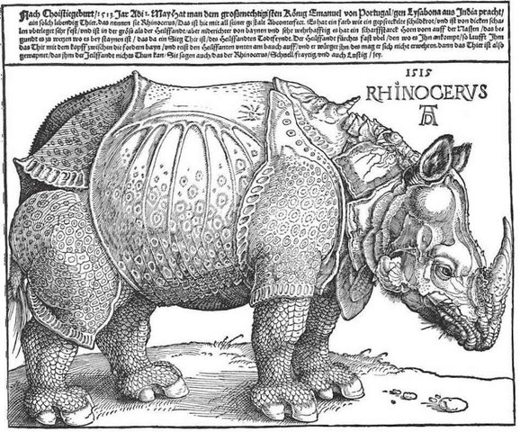 Albrecht Dürer. Ninasarvik