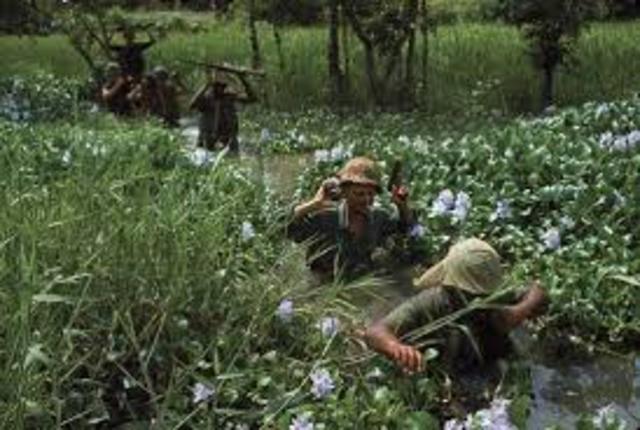 Vietnam War