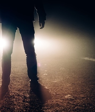 Meeting with an old friend