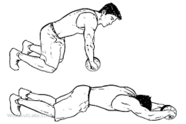 Ab Rollers