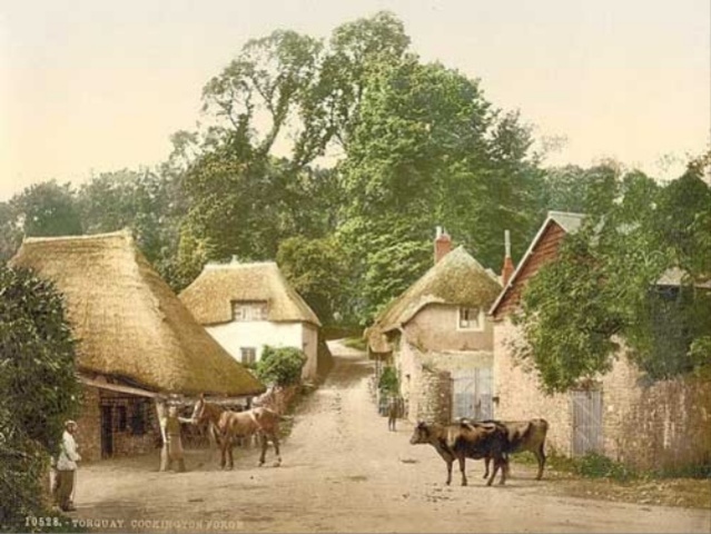 Village Farming