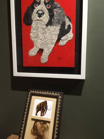 Dog Portrait made from Dog Hair. Louisville Slugger Museum Ripley's Believe it or Not! Oddball Exhibit