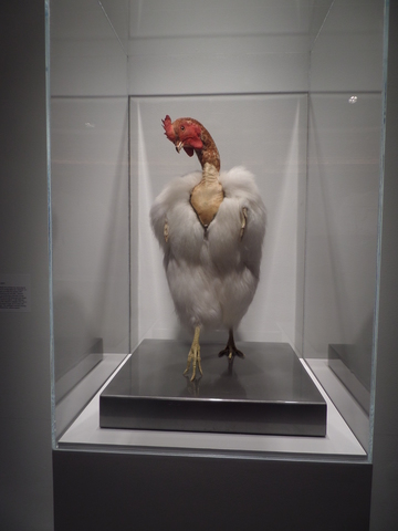 "Mascarade" by Sarah Garzoni. 21c Museum Hotel's Hybridity Exhibit. Louisville, Kentucky