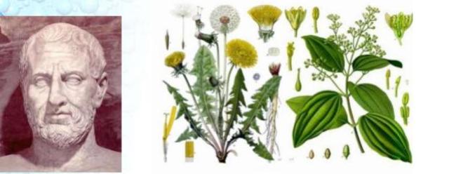 El Padre de la Botánica