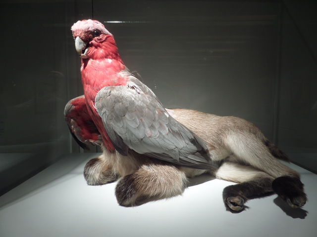 "Misfit 2004" by Thomas Grunfeld. 21c Museum Hotel's Hybridity Exhibit. Louisville, Kentucky