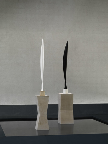 Bird in Space series