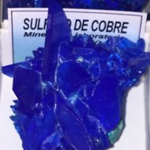 Intentando Controlar las Enfermedades en las Plantas