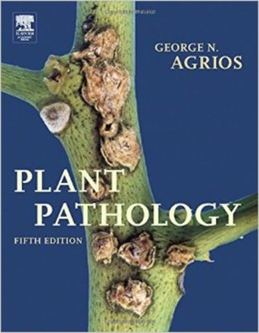 Más microorganismos causante de enfermedades