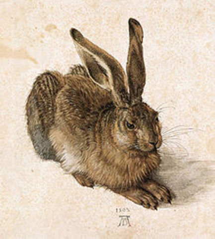 Noor Hare, Saksamaa