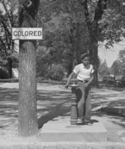 Segregation In Public and Schooling