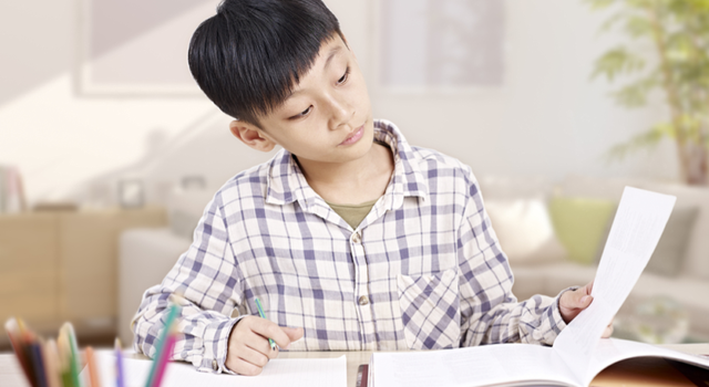 Diferentes programas académicos