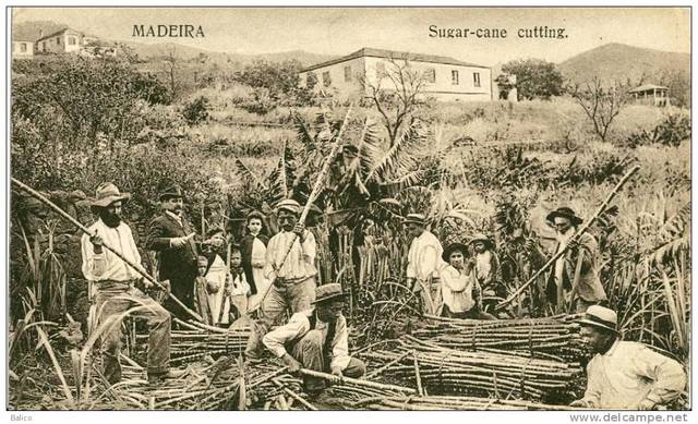 The first successful sugarcane plantation, Ladd and Company at Koloa, Kauai started.