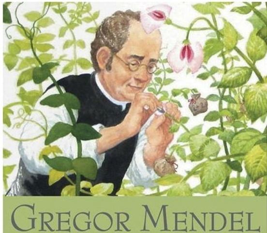 Gregor Mendel