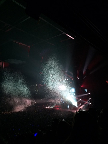 Saw Panic! At the Disco in concert in Birmingham!