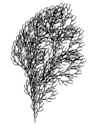 Méthode des L-systems (Lyndenmayer)