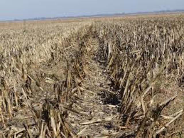 Events Leading to It- Harsh Times