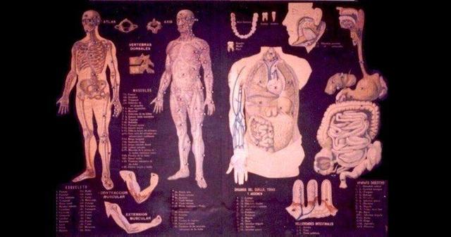 edad moderna y contemporanea