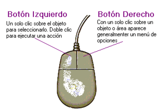 Raton de computadora