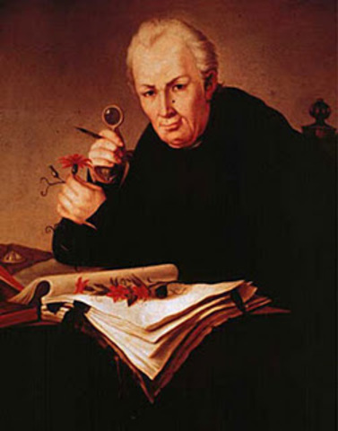 La colonia y el Virreinato de la Nueva Granada