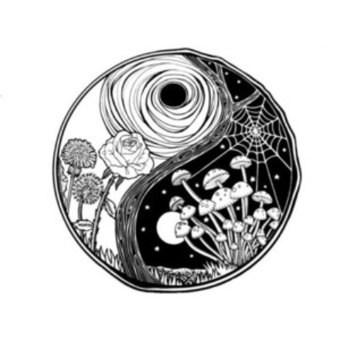 China el yin y el yang