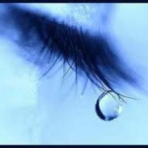 batalla de Gallipolí