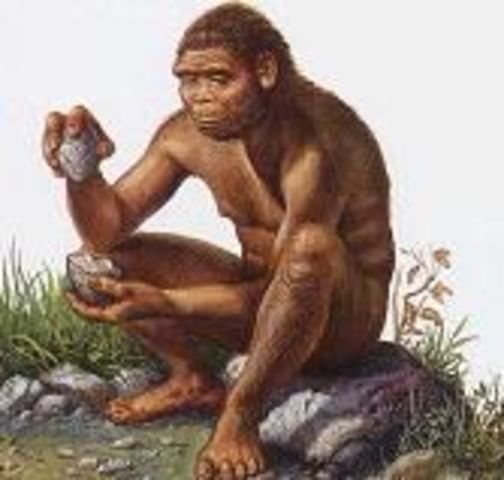 PREHISTORIA: Homo Habilis