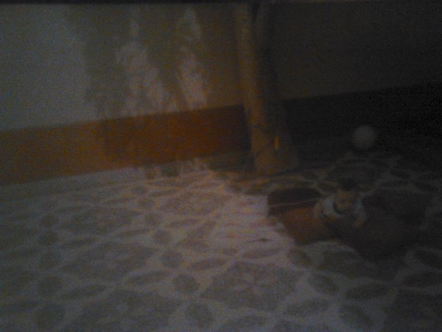 Fue el momento de mi nacimiento,la felicidad de mis padres y tambien la mia por verlos pr primera vez